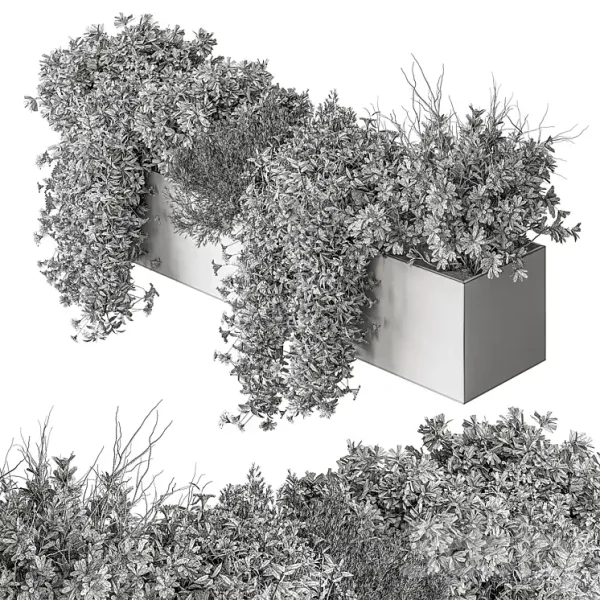 3DSky - Hanging Plant Outdoor Plants 503 - Image 5