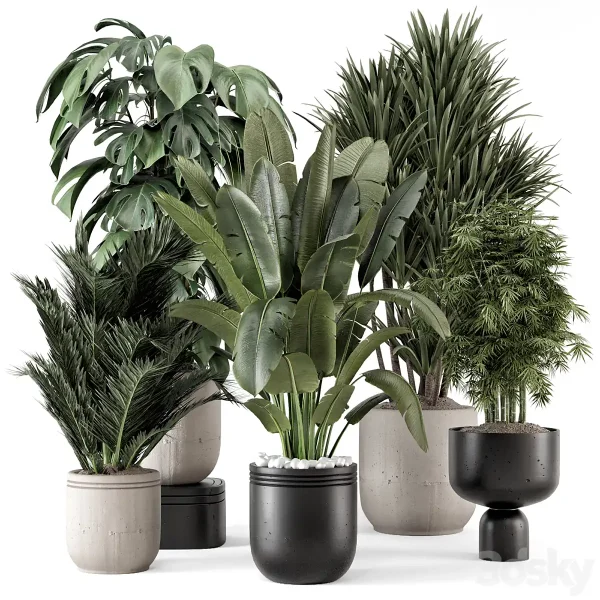 3DSky - Indoor Plants in Rusty Concrete Pot Set 1331