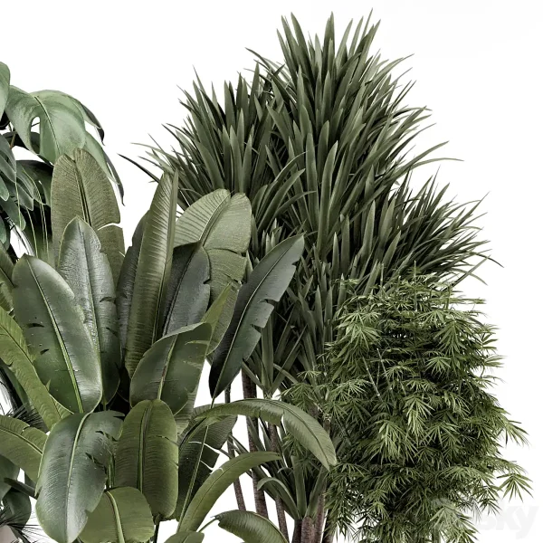 3DSky - Indoor Plants in Rusty Concrete Pot Set 1331 - Image 2