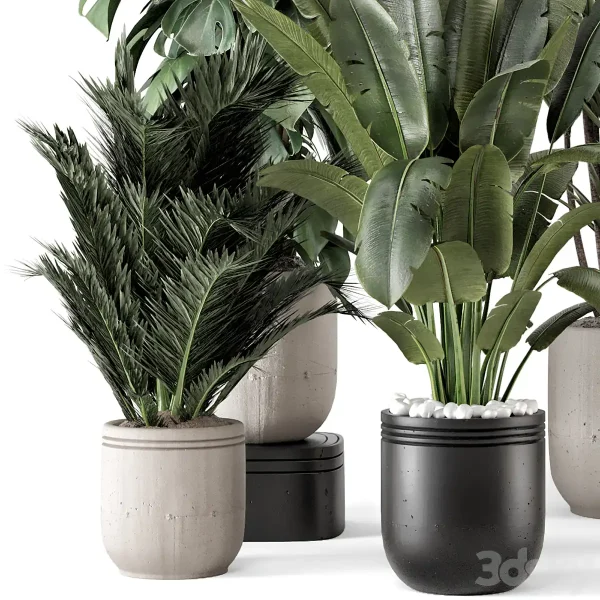 3DSky - Indoor Plants in Rusty Concrete Pot Set 1331 - Image 3
