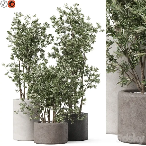 3DSky - Plants Collection 893