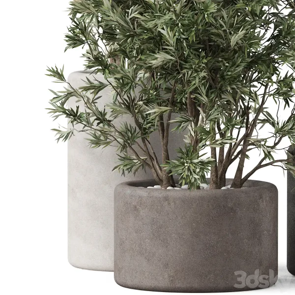 3DSky - Plants Collection 893 - Image 2