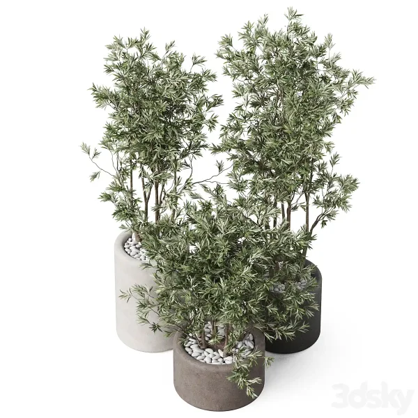 3DSky - Plants Collection 893 - Image 3