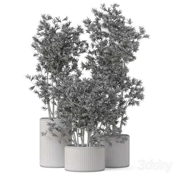 3DSky - Plants Collection 893 - Image 4