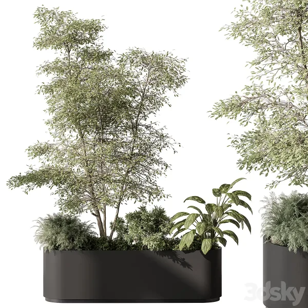 3DSky - Plant Box Outdoor Plants 515
