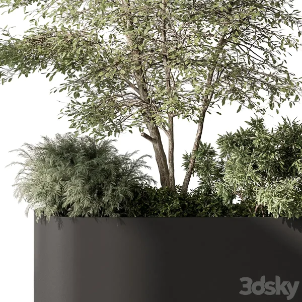 3DSky - Plant Box Outdoor Plants 515 - Image 2