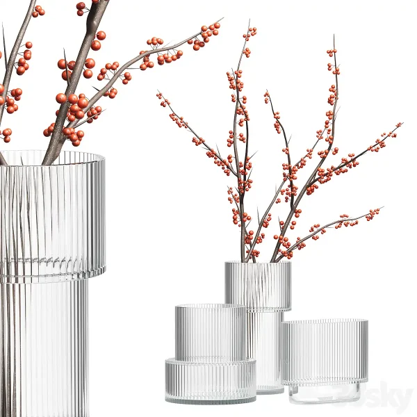 3DSky - H&M Glass Vases With Red Berry Branch