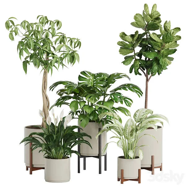 3DSky - Plant in Pots Set 03