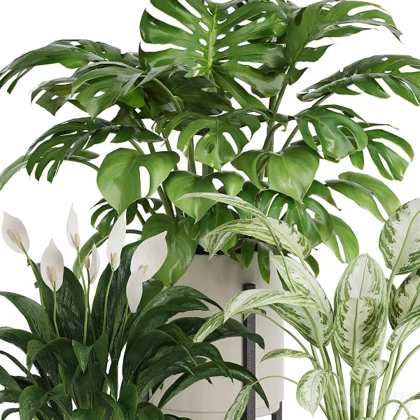3DSky - Plant in Pots Set 03 - Image 2