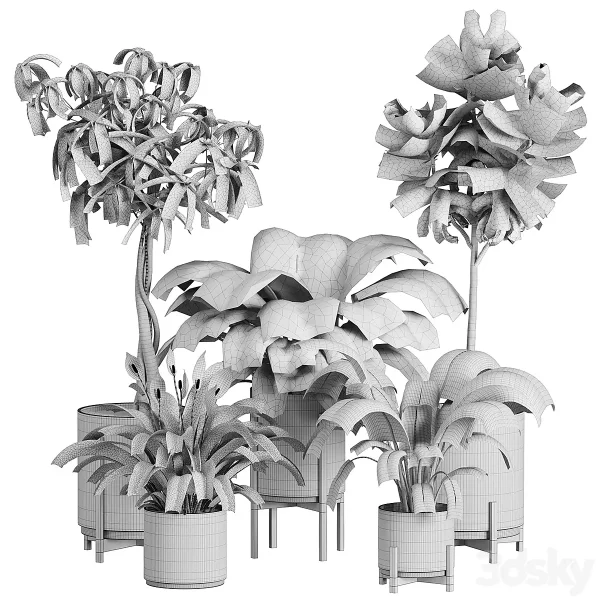 3DSky - Plant in Pots Set 03 - Image 4