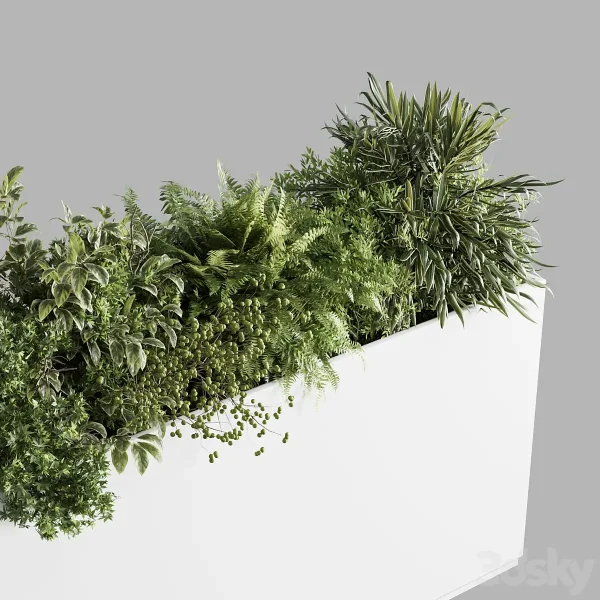 3DSky - Office Plant Plastic Box Plants on Stand - Image 3