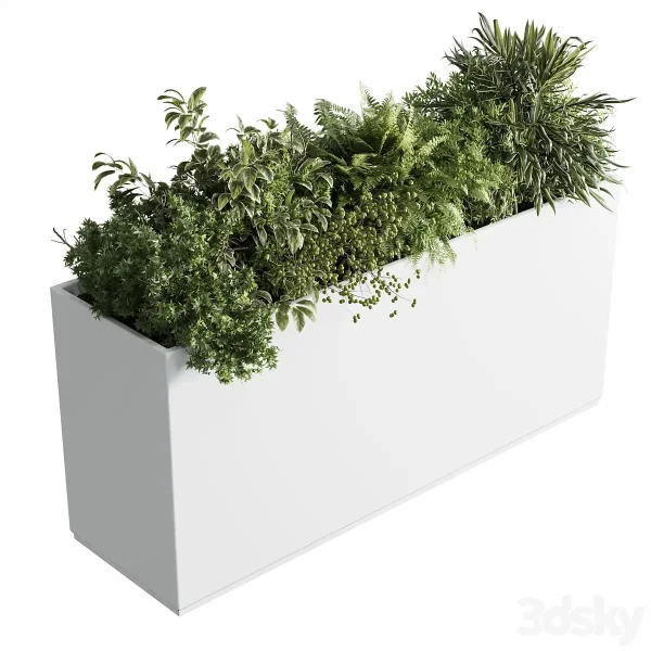 3DSky - Office Plant Plastic Box Plants on Stand