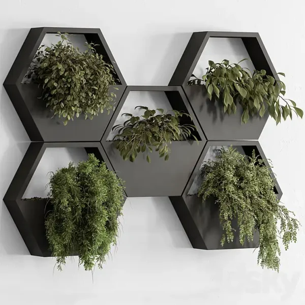 3DSky - Indoor Plant 536 Hanging Plants
