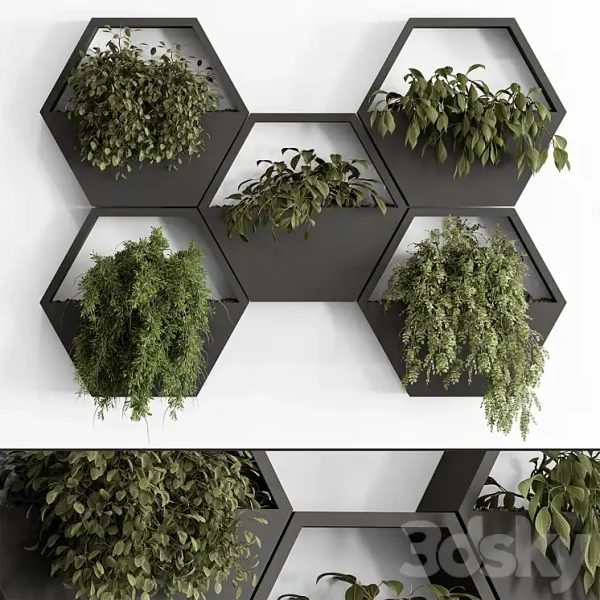 3DSky - Indoor Plant 536 Hanging Plants - Image 2