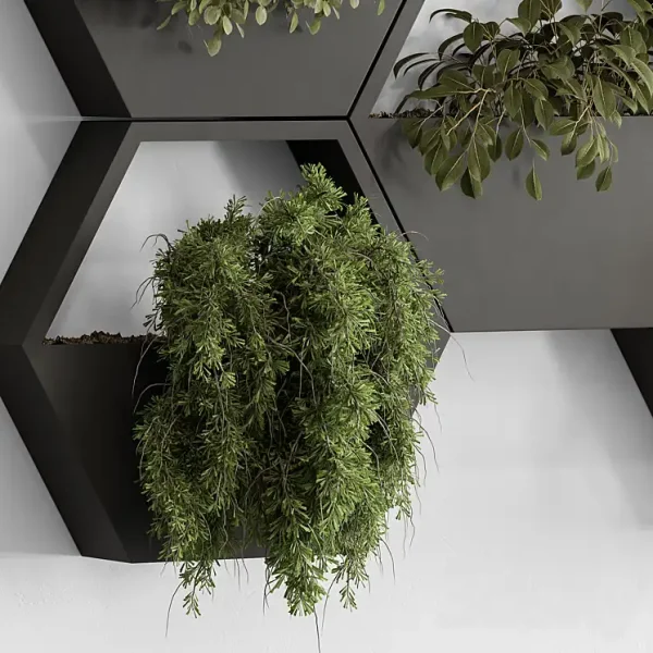 3DSky - Indoor Plant 536 Hanging Plants - Image 3