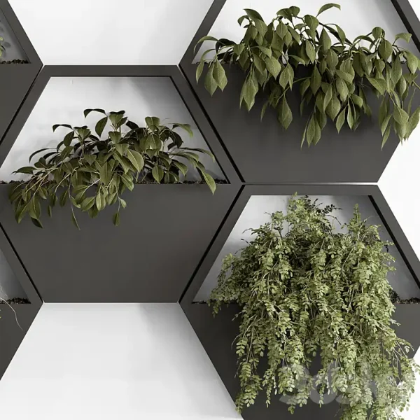 3DSky - Indoor Plant 536 Hanging Plants - Image 4