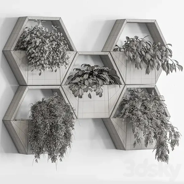 3DSky - Indoor Plant 536 Hanging Plants - Image 5