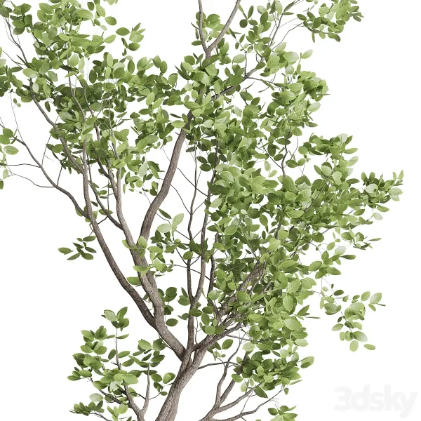 3DSky - Indoor Plant Set 397 Pot Tree in a Concrete Dirt Vase - Image 2