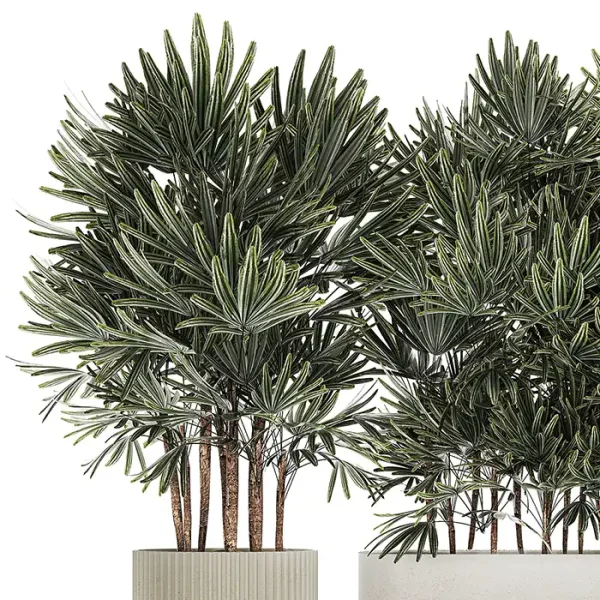 3DSky - A Collection of Lush Bushes of Thickets of Plants - Image 4