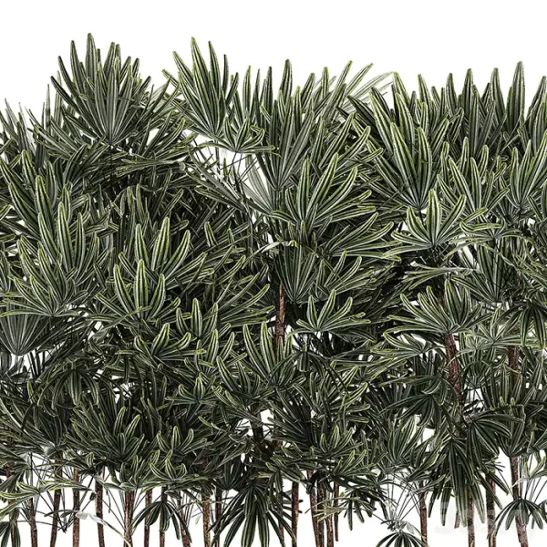 3DSky - A Collection of Lush Bushes of Thickets of Plants - Image 2