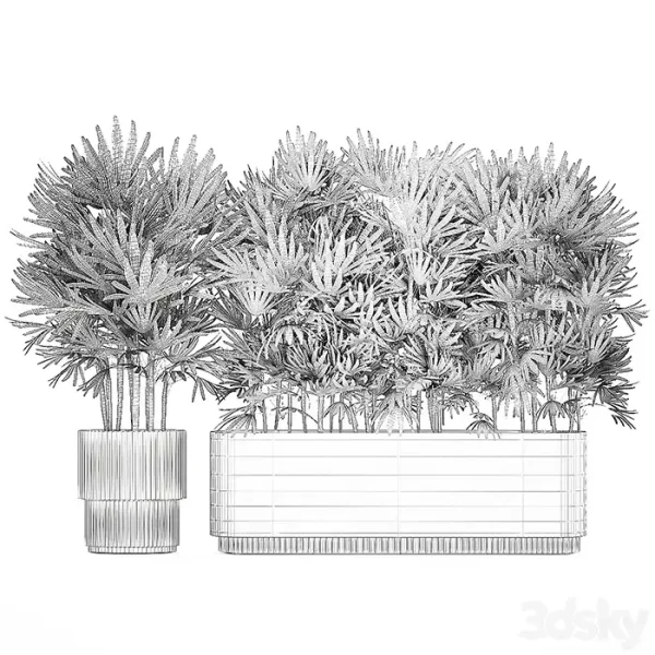 3DSky - A Collection of Lush Bushes of Thickets of Plants - Image 3