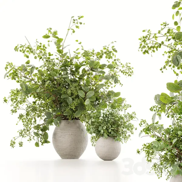 3DSky - Plants Bouquets 07