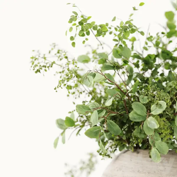 3DSky - Plants Bouquets 07 - Image 3
