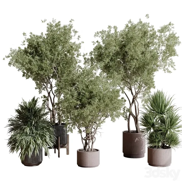 3DSky - Indoor Plant Set 408 Plant Tree Palm Bush