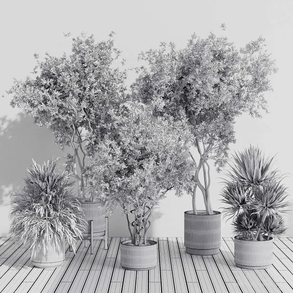 3DSky - Indoor Plant Set 408 Plant Tree Palm Bush - Image 3