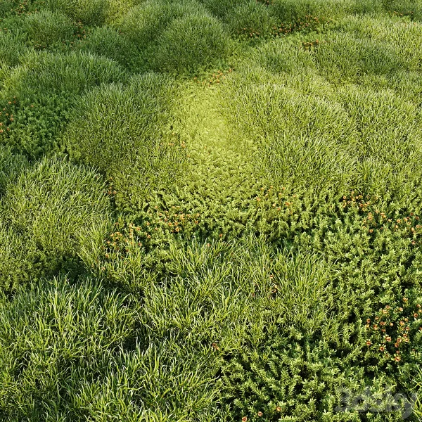 3DSky - Blooming Moss 2 - Image 2