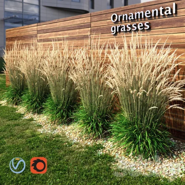 3DSky - Ornamental Grass Dry