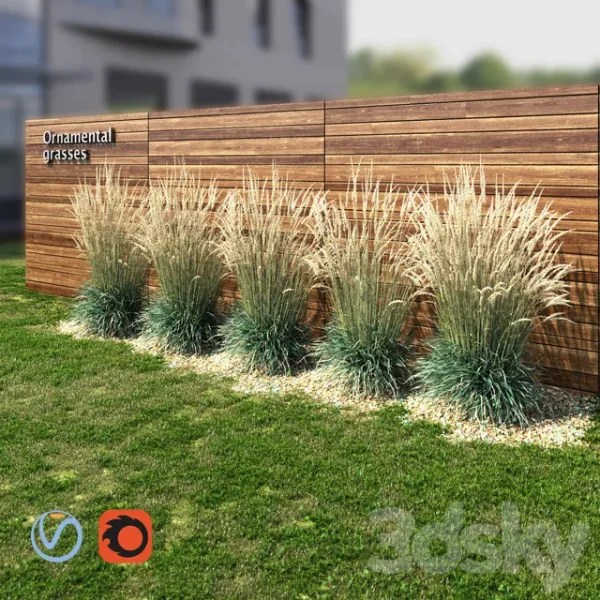 3DSky - Ornamental Grass Dry - Image 2