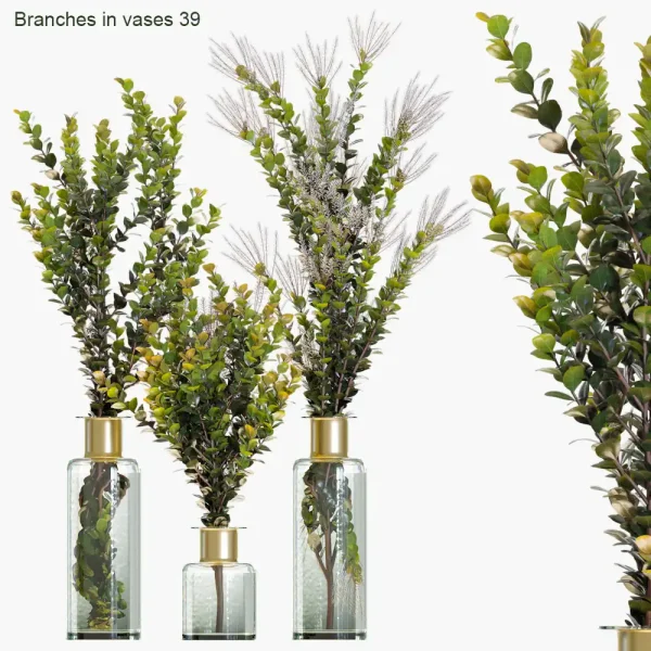 3DSky - Branches in Vases 39