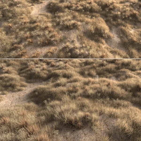 3DSky - Dried Grass