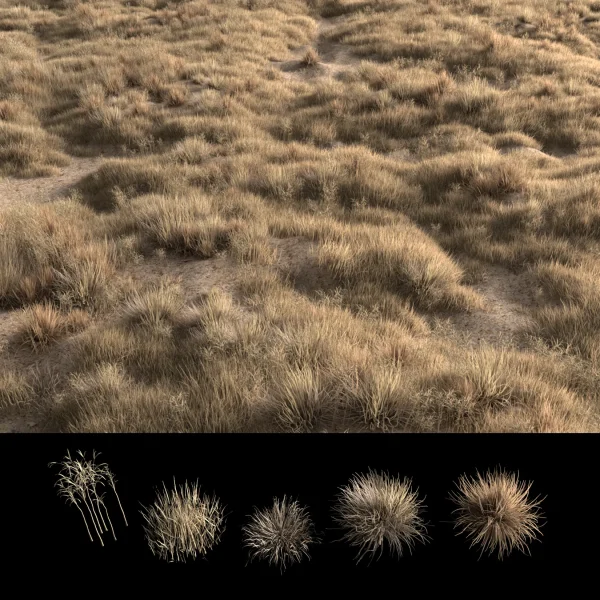 3DSky - Dried Grass - Image 2