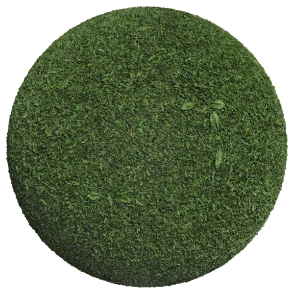 Grass001