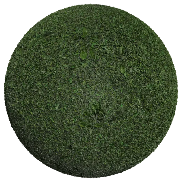 Grass002
