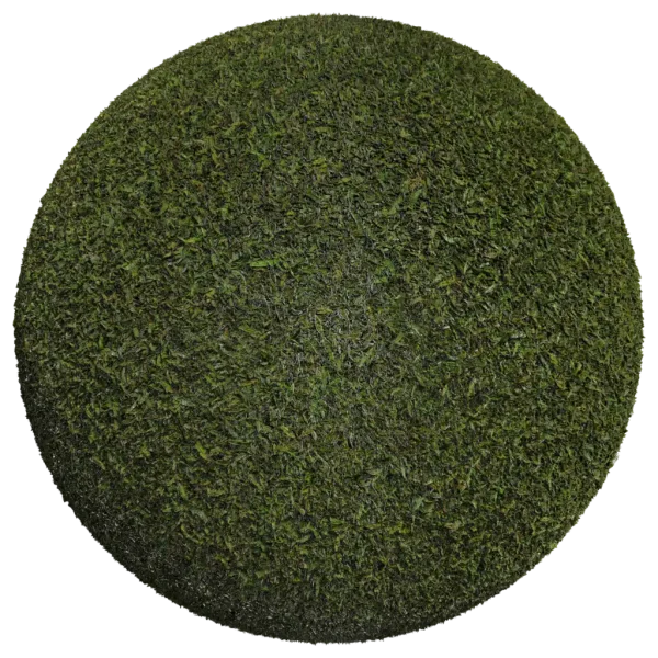 Grass003