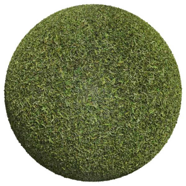 Grass004