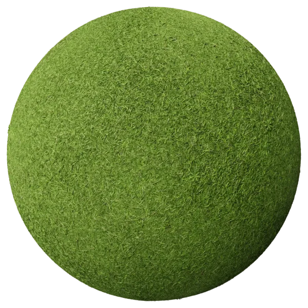 Grass005