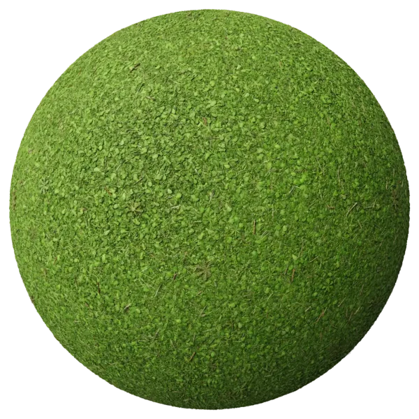Grass006