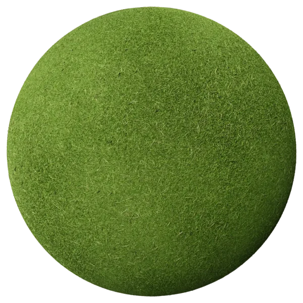 Grass008