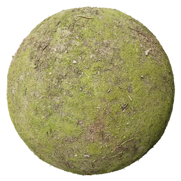 Ground037