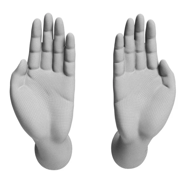 3DSky - Hands Handles - Image 2