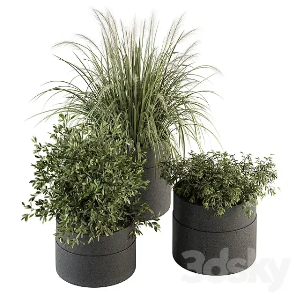 3DSky - Indoor Plant Set 250 Plants Set in Pot