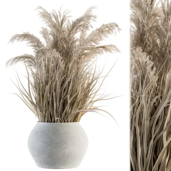 3DSky - Indoor Plant Set 115 Dried Plant