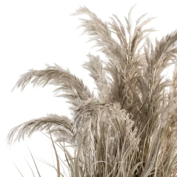 3DSky - Indoor Plant Set 115 Dried Plant - Image 3
