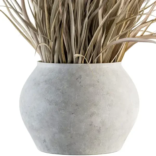 3DSky - Indoor Plant Set 115 Dried Plant - Image 4