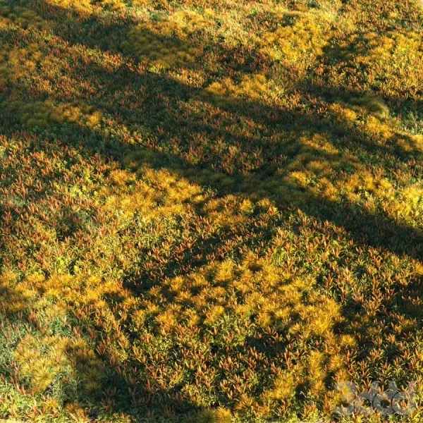 3DSky - Grass Set 2
