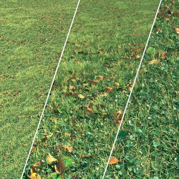 3DSky - Autumn Grass 1